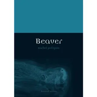 Beaver