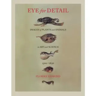 Eye for Detail