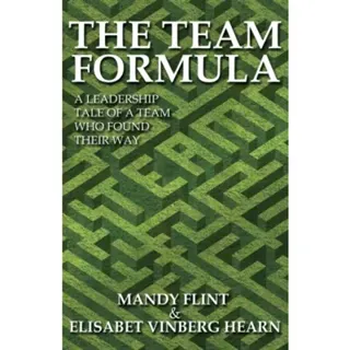 The Team Formula - A Leadership Tale of a Team Who Found Their Way