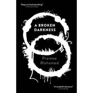 A Broken Darkness