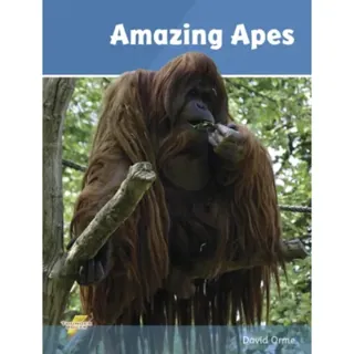 Amazing Apes
