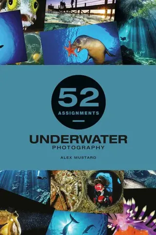 52 Assignments: Underwater Photography