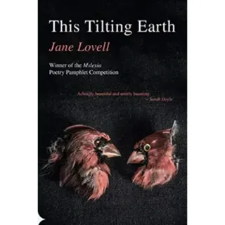This Tilting Earth