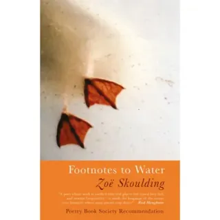Footnotes to Water