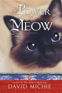 Power of meow