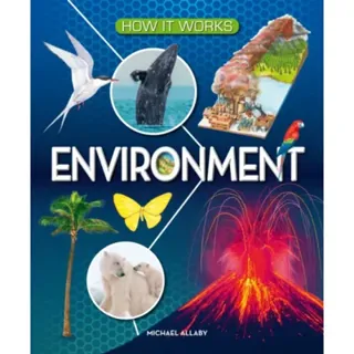 How It Works: Environment