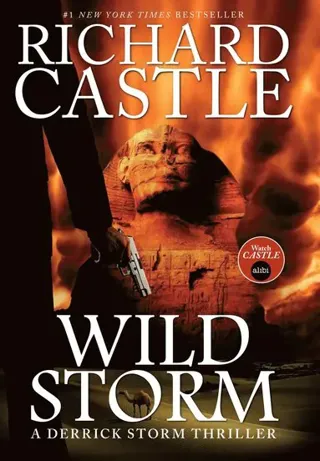 Wild Storm