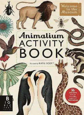 Animalium Activity Book