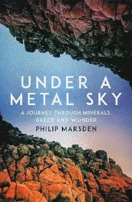 Under a Metal Sky