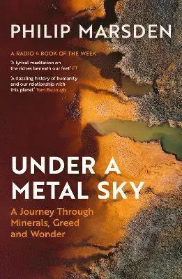 Under a Metal Sky