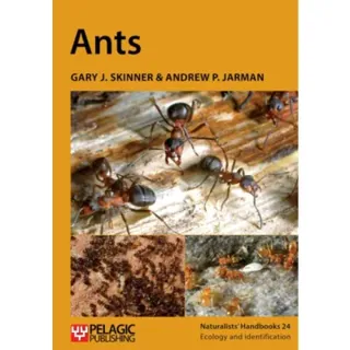 Ants