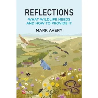 Reflections