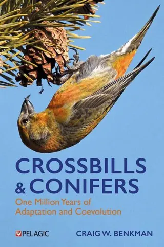 Crossbills and Conifers