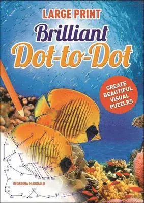 Large Print Dot to Dot Brilliant