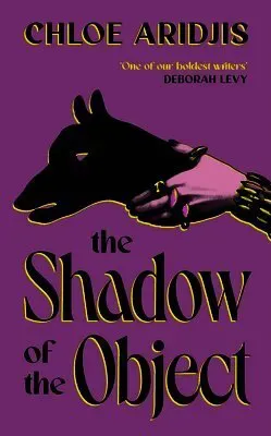 Shadow of the Object