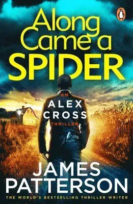 Along came a spider - (alex cross 1)