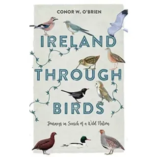 Ireland Through Birds