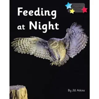 Feeding at Night