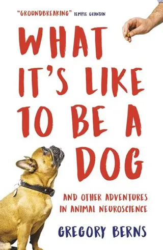 What It's Like to Be a Dog