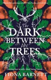 The Dark Between The Trees