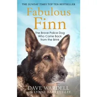 Fabulous Finn