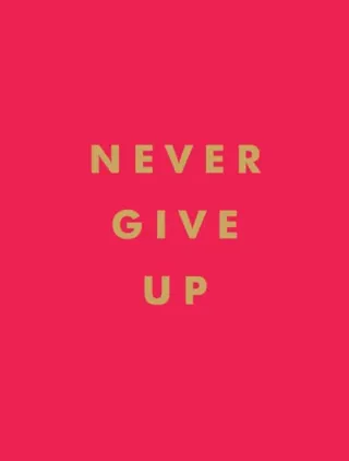 Never Give Up