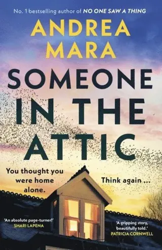 Someone in the Attic