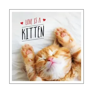 Love is a Kitten: A Cat-Tastic Celebration of the World's Cutest Kittens