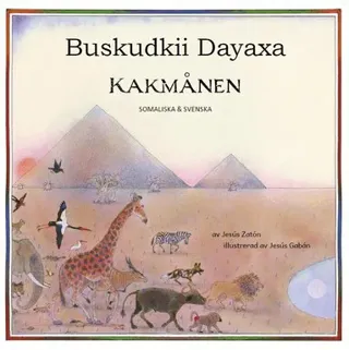 Kakmånen / Buskudkii dayaxa