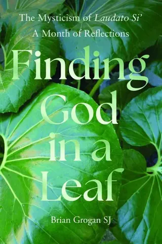 Finding God in a Leaf