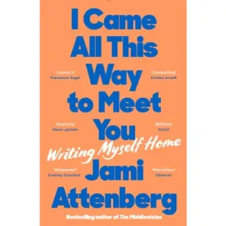 I Came All This Way to Meet You
