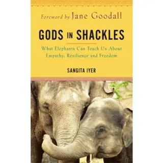 Gods in Shackles