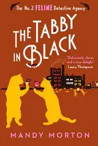 The Tabby in Black