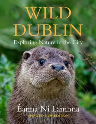 Wild Dublin