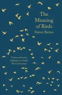 The Meaning of Birds