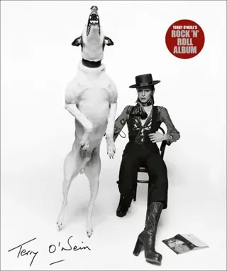 Terry O'Neill's Rock 'n' Roll Album