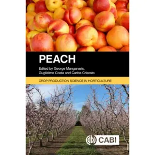 Peach