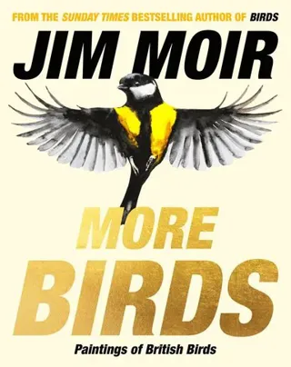 More Birds