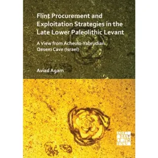 Flint Procurement and Exploitation Strategies in the Late Lower Paleolithic Levant