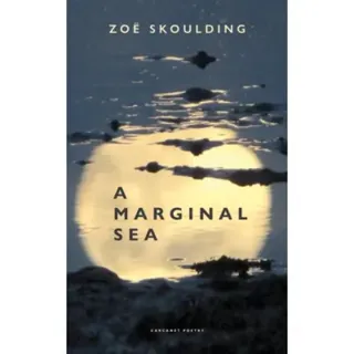 A Marginal Sea