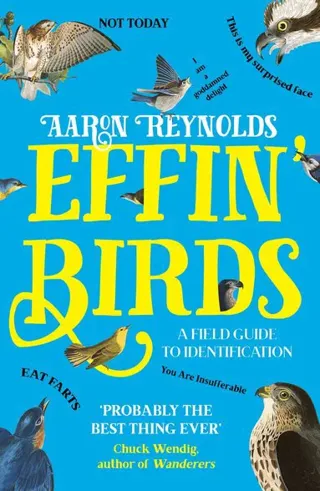Effin' Birds