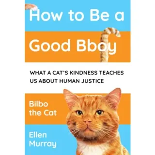How to be a Good Bboy