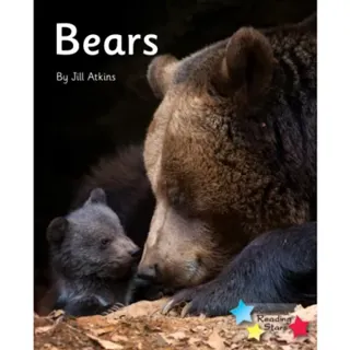 Bears