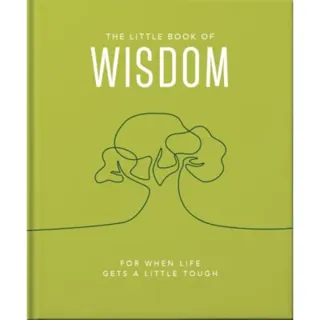 The Little Book of Wisdom