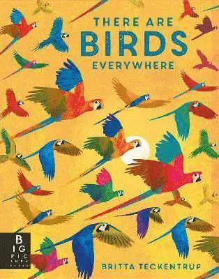 There are Birds Everywhere