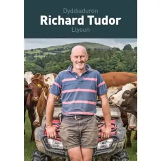 Dyddiaduron Richard Tudor, Llysun