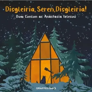 Disgleiria, Seren, Disgleiria!