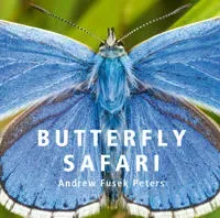 Butterfly Safari