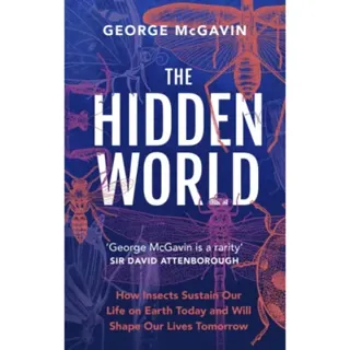 The Hidden World