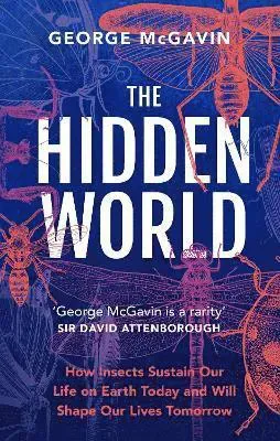 The Hidden World
